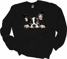 Peeking boston terrier for sale  Kimberling City