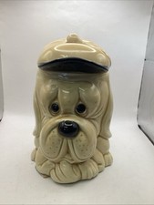 Droopy ear dog for sale  KIRKCALDY