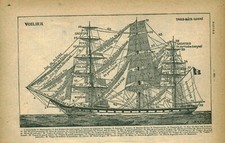 Document planche ancienne d'occasion  France