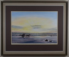 Shrimpers baycliff cumbria. for sale  LEYBURN