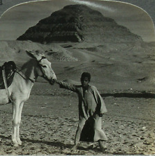 Conjunto de cartas Keystone Stereoview pirâmide mais antiga, Sakkarah, Egito de 600/1200 #783 A comprar usado  Enviando para Brazil
