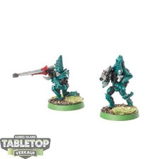 Drukhari dark eldar gebraucht kaufen  Hof