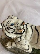 siberian tiger for sale siberian tiger for sale Brant