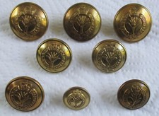British army welsh for sale  NORWICH
