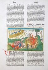 Biblia germanica koberger gebraucht kaufen  Torgau
