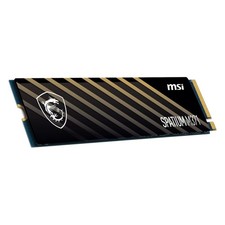 Msi spatium m371 gebraucht kaufen  Eilenburg