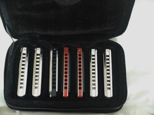 Hohner blues harmonica for sale  HERNE BAY