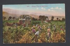 Grape harvest vintage for sale  New London