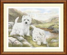 West highland terriers d'occasion  Expédié en Belgium