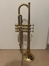 Stagg 115 schüler gebraucht kaufen  Borken