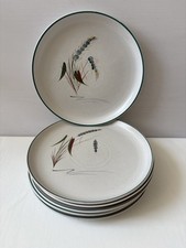 Denby greenwheat set for sale  AYLESBURY