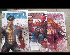 Invincible variant bergamo usato  Belluno