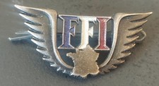 Forces françaises intérieur d'occasion  Allonnes