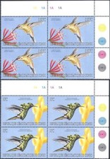 Congo 2000 uccellini usato  Italia