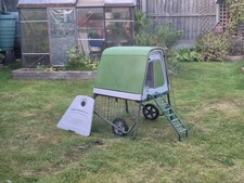 Omlet eglu chicken for sale  CHESTER