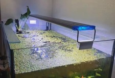 Led aquarium lampe gebraucht kaufen  Drochtersen