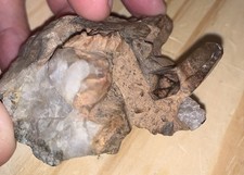 Quartz crystal cluster for sale  Palm Desert