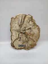 Orologio legno fossile usato  Ragalna