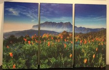 Blue wall canvas for sale  Orwigsburg