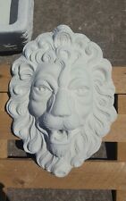Mascherone maschera faccia usato  Sparanise