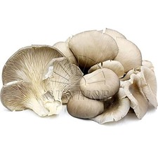 Balletta funghi cardoncelli usato  Bisceglie