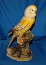 Lipper mann parakeet for sale  Lansing