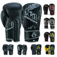 Guantoni boxe allenamento usato  Modena