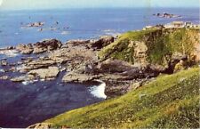 The lizard point usato  Spedire a Italy