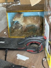 Fox cub first for sale  SOLIHULL