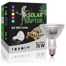 Solar raptor hid gebraucht kaufen  Karlsruhe