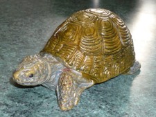 Ancienne tortue hermann d'occasion  Paris VII