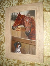 Dog visits horse for sale  Fresno