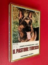 Schwabacher gray pastore usato  Bologna