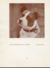 STAFFORDSHIRE BULL TERRIER OLD VINTAGE 1934 NAMED DOG SEPIA PRINT PAGE comprar usado STAFFORDSHIRE BULL TERRIER OLD VINTAGE 1934 NAMED DOG SEPIA PRINT PAGE comprar usado  Enviando para Brazil