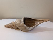 Vintage ceramic seashell for sale  Manheim