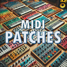 1800 patches midi d'occasion  Toulouse-