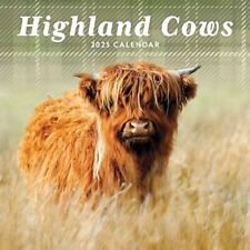 Highland cows mini for sale  EXETER