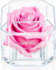 100 real rose for sale  DAGENHAM