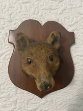 Vintage red fox for sale  Edgewater