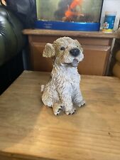 Fox terrier dog for sale  SOUTHEND-ON-SEA