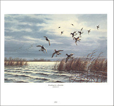 1978 vintage print for sale  Carmel Valley