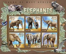 Elephants wild animals for sale  TRURO