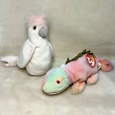 Iggy cockatoo kuku for sale  CLACTON-ON-SEA