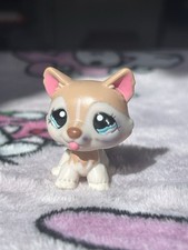Littlest pet shop for sale  WEYMOUTH
