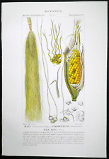 1831 set turpin usato  Urbino