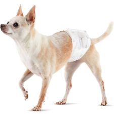 Disposable dog nappies for sale  ENNISKILLEN