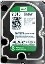 Festpllatte western digital usato  Spedire a Italy