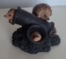 Bowbrook studio hedgehogs for sale  STOURBRIDGE