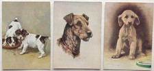 Dog postcards afghan for sale  COOKSTOWN