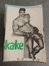 Gay comic kake gebraucht kaufen  Berlin